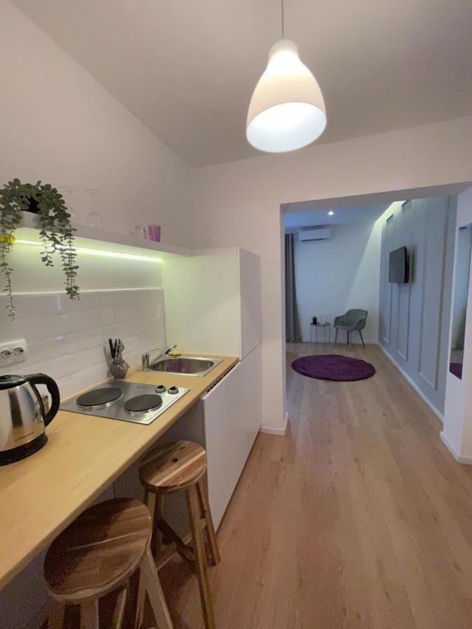 On The River Ultra Central Suites 부쿠레슈티 외부 사진